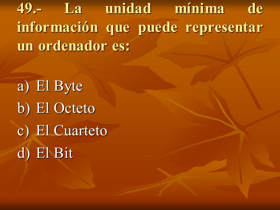 49.- La unidad mínima de información que puede representar un ordenador es: