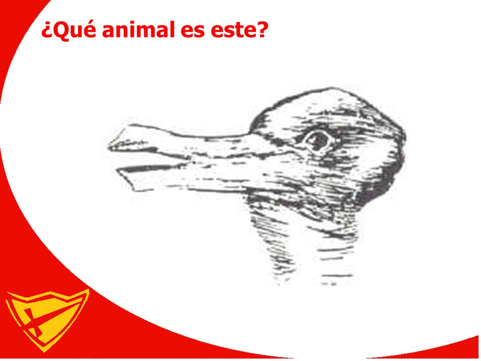 ¿Qué animal es este