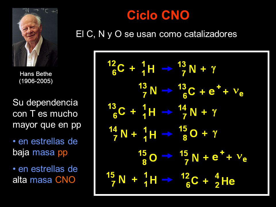 El C, N y O se usan como catalizadores