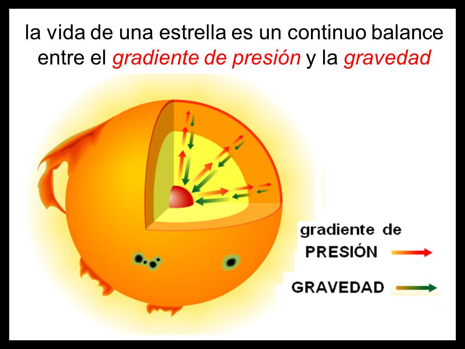 la vida de una estrella es un continuo balance entre el gradiente de presión y la gravedad