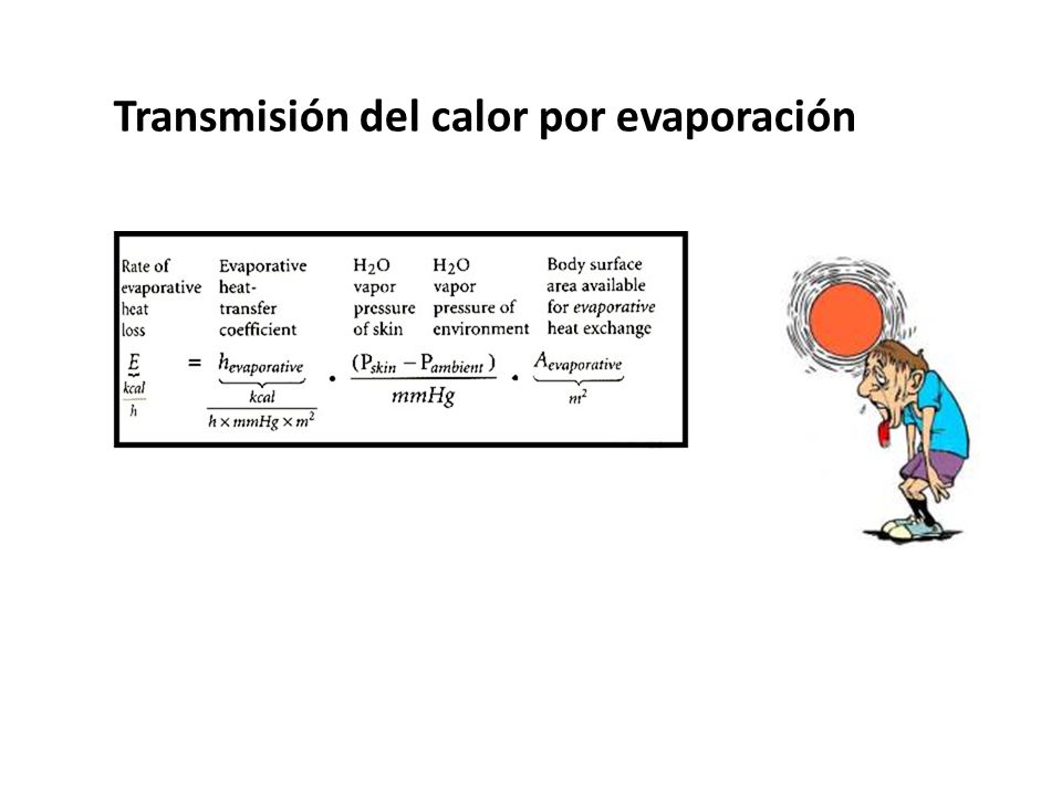 Transmisión del calor por evaporación