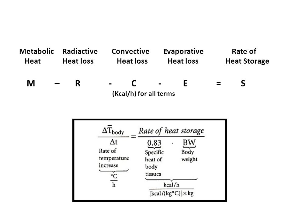 M – R - C - E = S Metabolic Radiactive Convective Evaporative Rate of