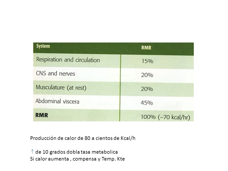 Producción de calor de 80 a cientos de Kcal/h