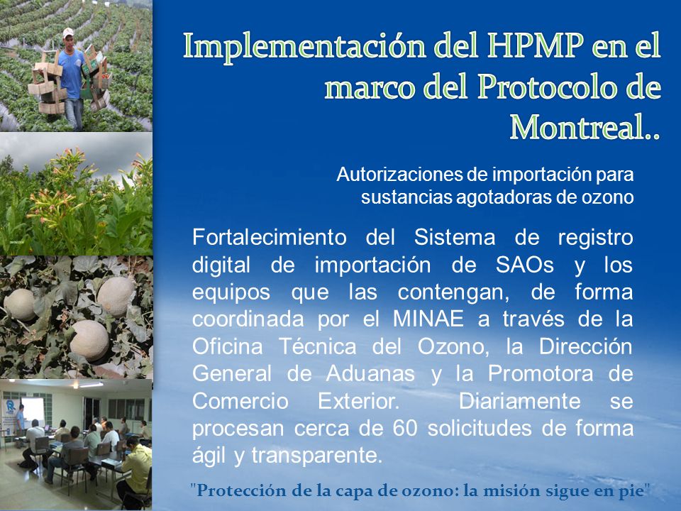 Protección de la capa de ozono: la misión sigue en pie