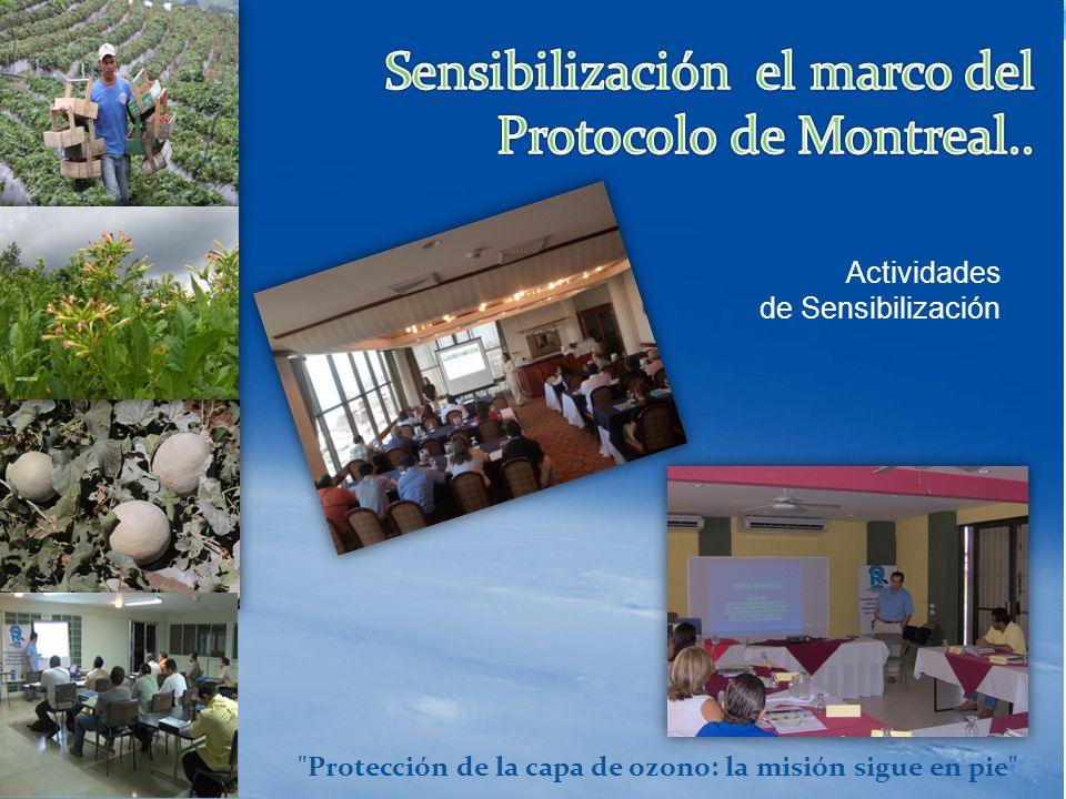 Protección de la capa de ozono: la misión sigue en pie