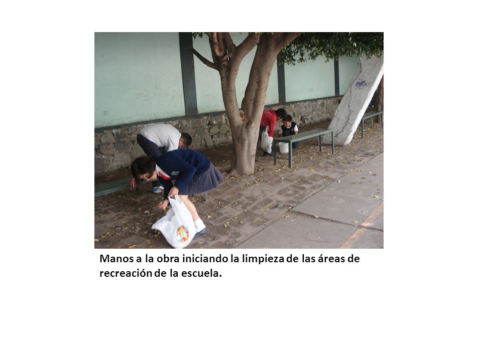 Manos a la obra iniciando la limpieza de las áreas de recreación de la escuela.