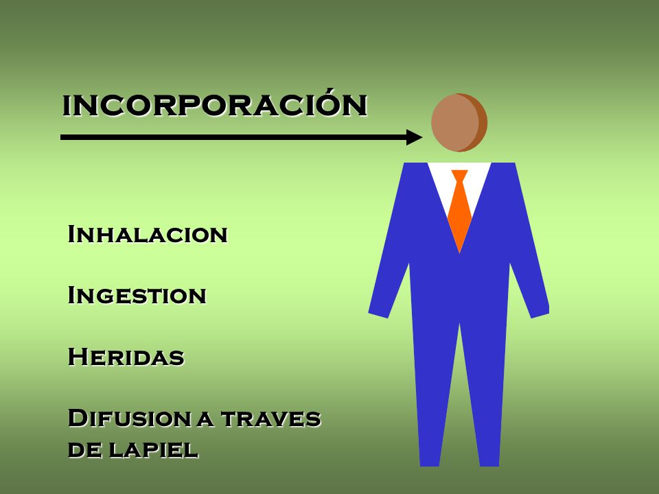 Incorporación Inhalacion Ingestion Heridas Difusion a traves de lapiel