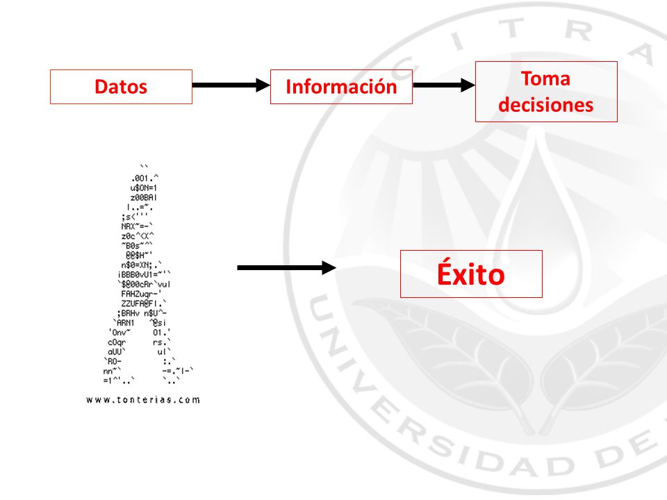 Datos Información Toma decisiones Éxito