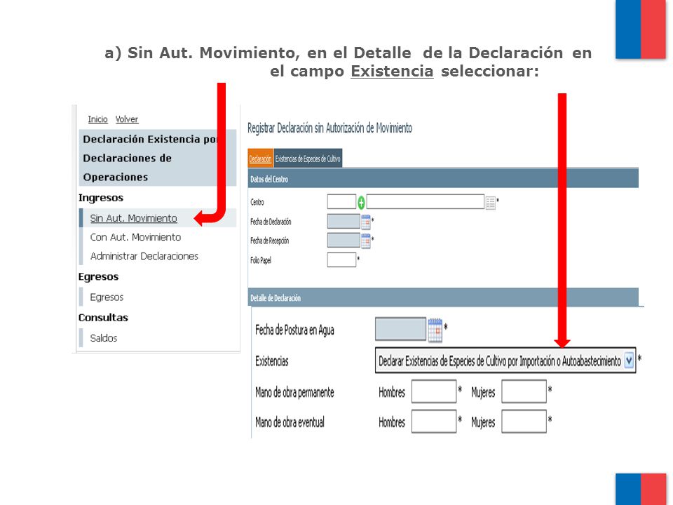 a) Sin Aut. Movimiento, en el Detalle de la Declaración en el campo Existencia seleccionar: