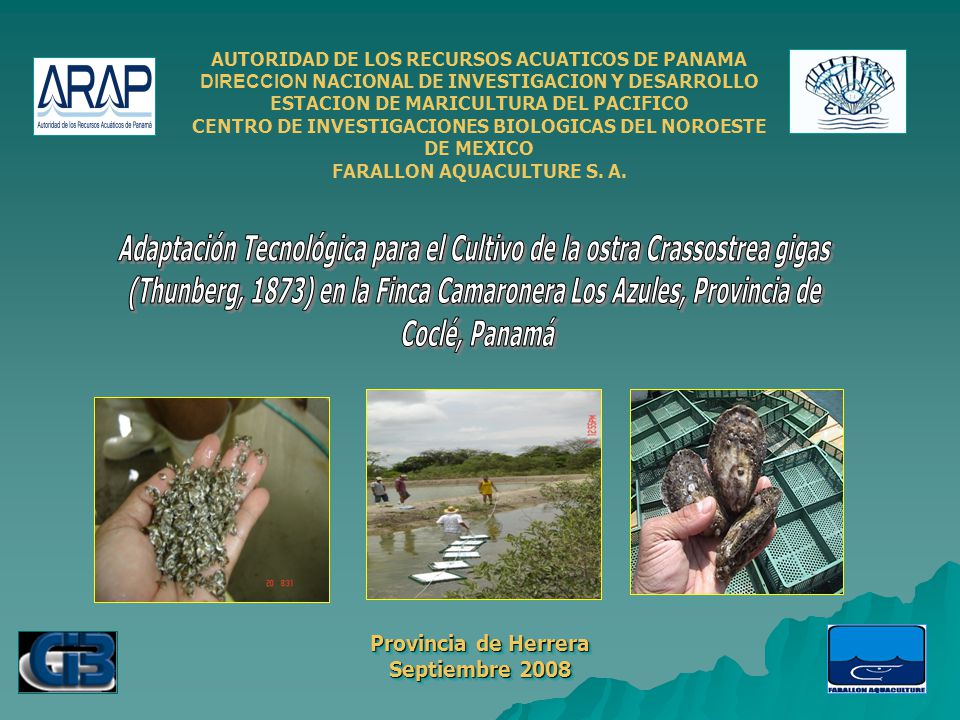 Adaptación Tecnológica para el Cultivo de la ostra Crassostrea gigas