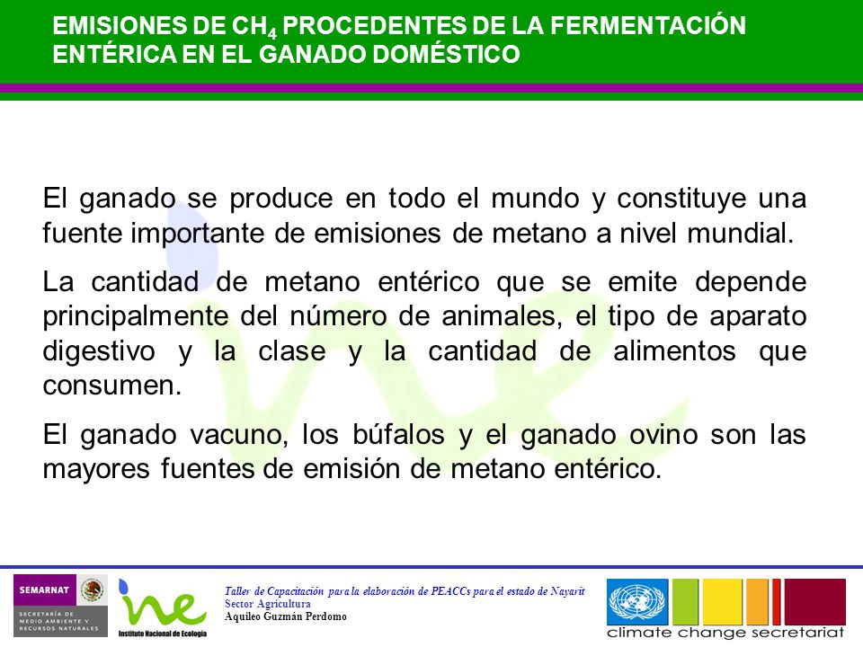 EMISIONES DE CH4 PROCEDENTES DE LA FERMENTACIÓN ENTÉRICA EN EL GANADO DOMÉSTICO