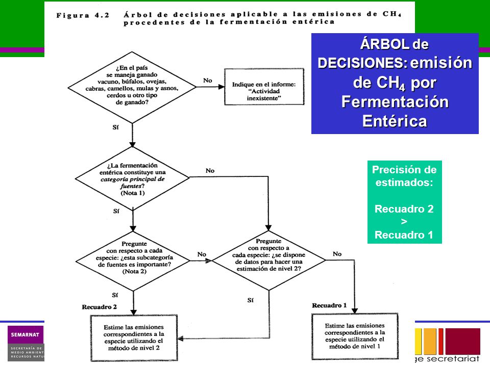 ÁRBOL de DECISIONES: emisión de CH4 por Fermentación Entérica