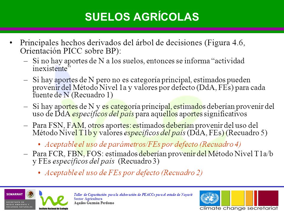 SUELOS AGRÍCOLAS Principales hechos derivados del árbol de decisiones (Figura 4.6, Orientación PICC sobre BP):