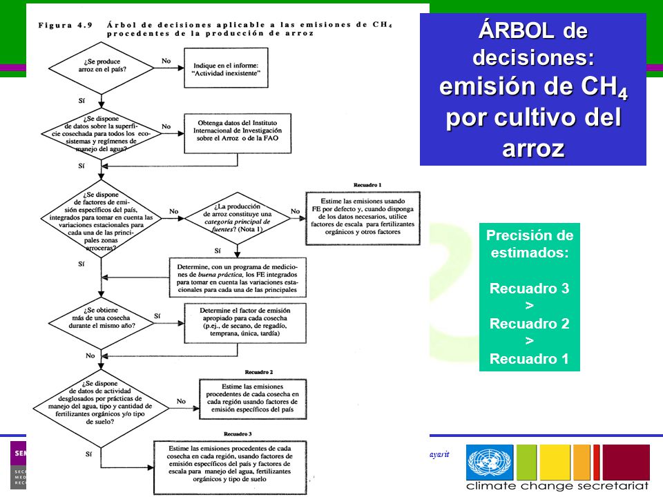 ÁRBOL de decisiones: emisión de CH4 por cultivo del arroz