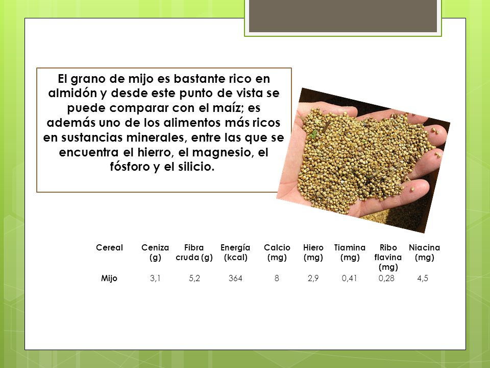 El grano de mijo es bastante rico en almidón y desde este punto de vista se puede comparar con el maíz; es además uno de los alimentos más ricos en sustancias minerales, entre las que se encuentra el hierro, el magnesio, el fósforo y el silicio.