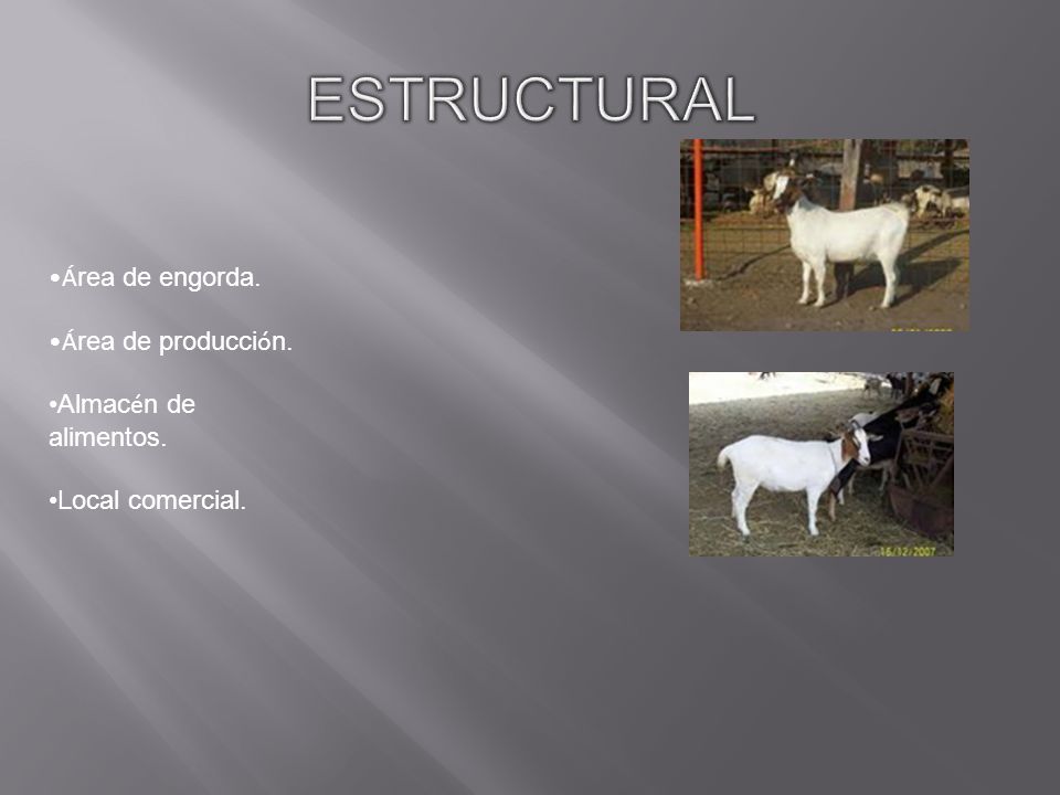 ESTRUCTURAL Área de engorda. Área de producción. Almacén de alimentos.