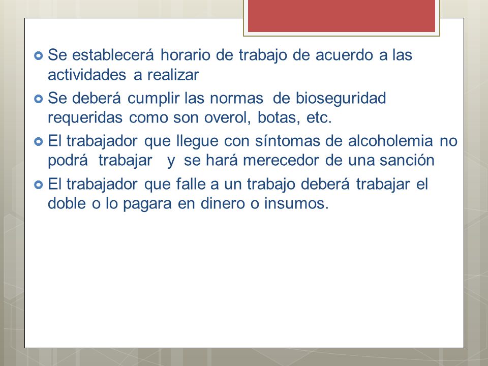 Se establecerá horario de trabajo de acuerdo a las actividades a realizar