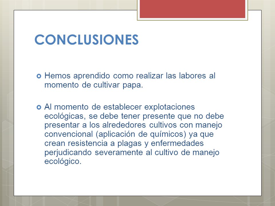 CONCLUSIONES Hemos aprendido como realizar las labores al momento de cultivar papa.