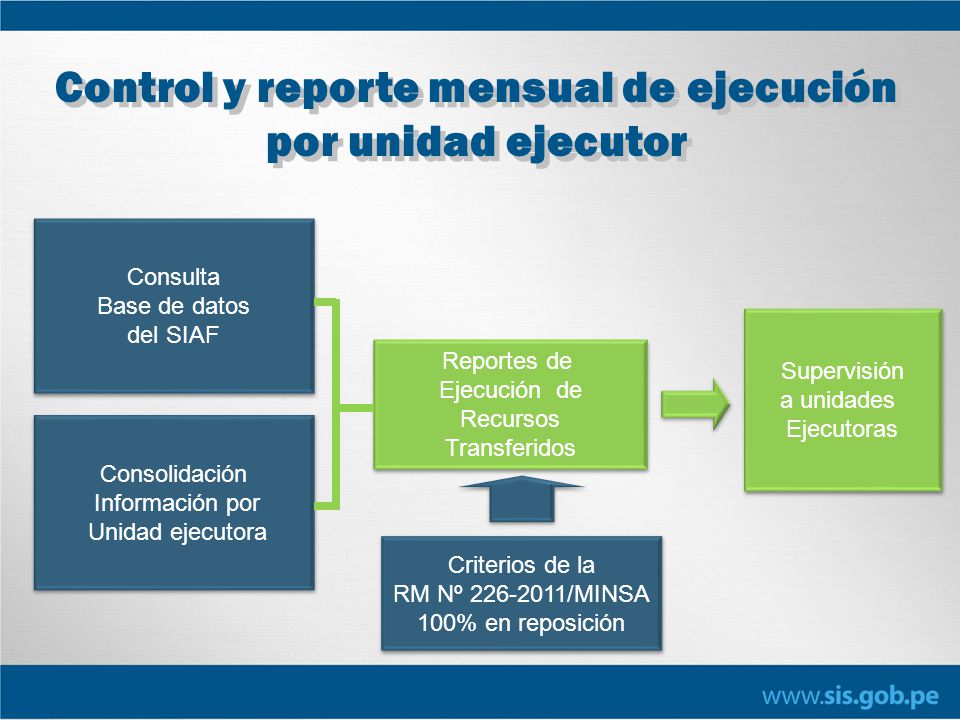 Control y reporte mensual de ejecución por unidad ejecutor