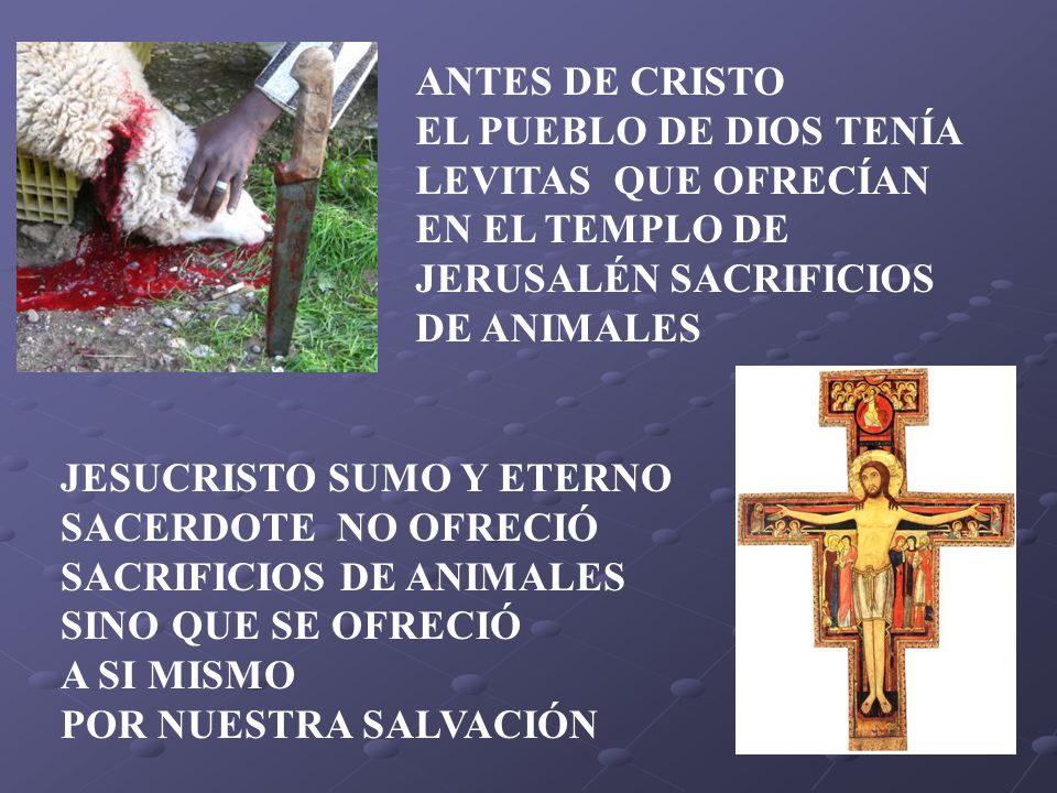 ANTES DE CRISTO EL PUEBLO DE DIOS TENÍA LEVITAS QUE OFRECÍAN EN EL TEMPLO DE JERUSALÉN SACRIFICIOS DE ANIMALES