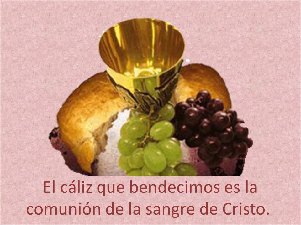 El cáliz que bendecimos es la comunión de la sangre de Cristo.