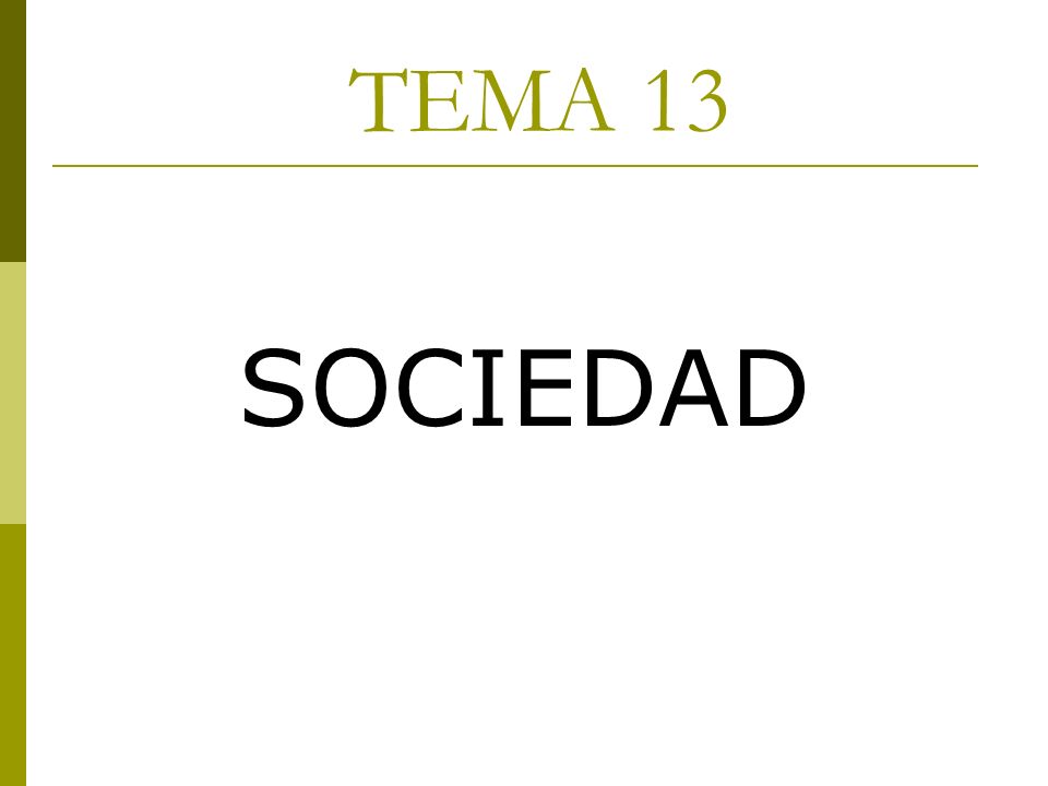 TEMA 13 SOCIEDAD