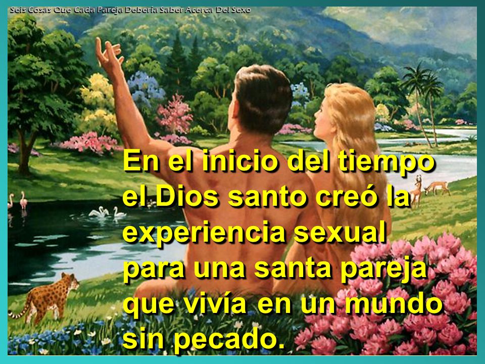 Seis Cosas Que Cada Pareja Debería Saber Acerca Del Sexo
