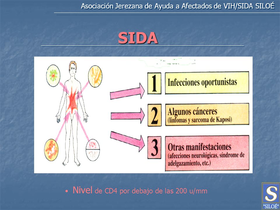 SIDA Asociación Jerezana de Ayuda a Afectados de VIH/SIDA SILOÉ