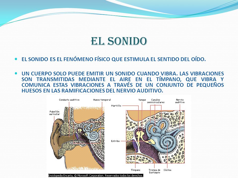 EL SONIDO EL SONIDO ES EL FENÓMENO FÍSICO QUE ESTIMULA EL SENTIDO DEL OÍDO.