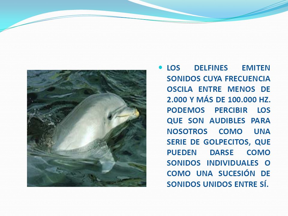 LOS DELFINES EMITEN SONIDOS CUYA FRECUENCIA OSCILA ENTRE MENOS DE 2