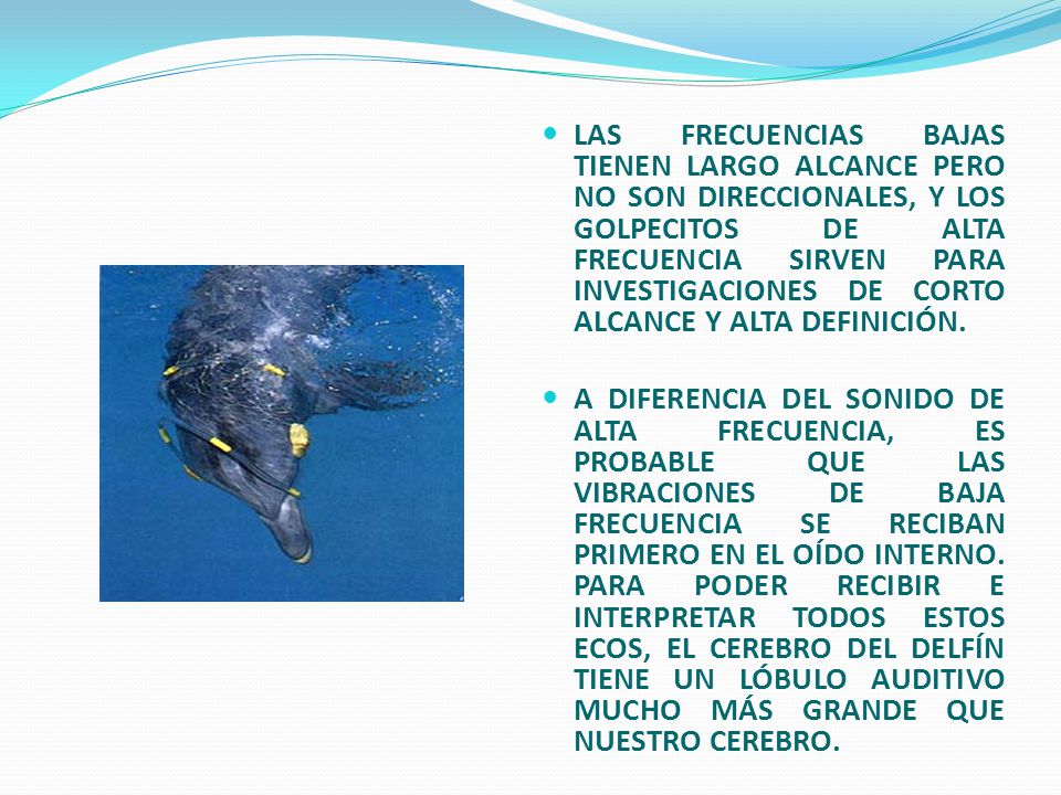 LAS FRECUENCIAS BAJAS TIENEN LARGO ALCANCE PERO NO SON DIRECCIONALES, Y LOS GOLPECITOS DE ALTA FRECUENCIA SIRVEN PARA INVESTIGACIONES DE CORTO ALCANCE Y ALTA DEFINICIÓN.