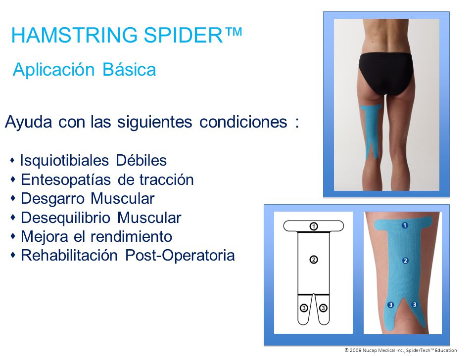 HAMSTRING SPIDER™ Aplicación Básica Ayuda con las siguientes condiciones :  Isquiotibiales Débiles  Entesopatías de tracción  Desgarro Muscular  Desequilibrio Muscular  Mejora el rendimiento  Rehabilitación Post-Operatoria