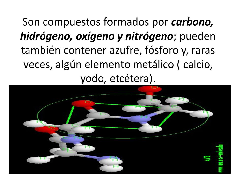 Son compuestos formados por carbono, hidrógeno, oxígeno y nitrógeno; pueden también contener azufre, fósforo y, raras veces, algún elemento metálico ( calcio, yodo, etcétera).