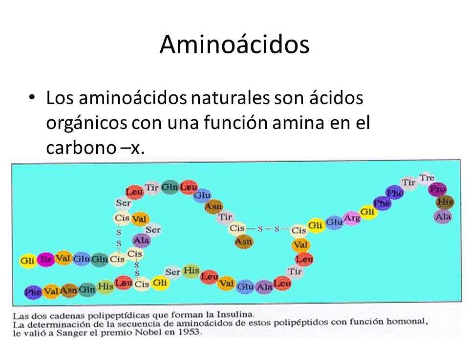 Aminoácidos Los aminoácidos naturales son ácidos orgánicos con una función amina en el carbono –x.