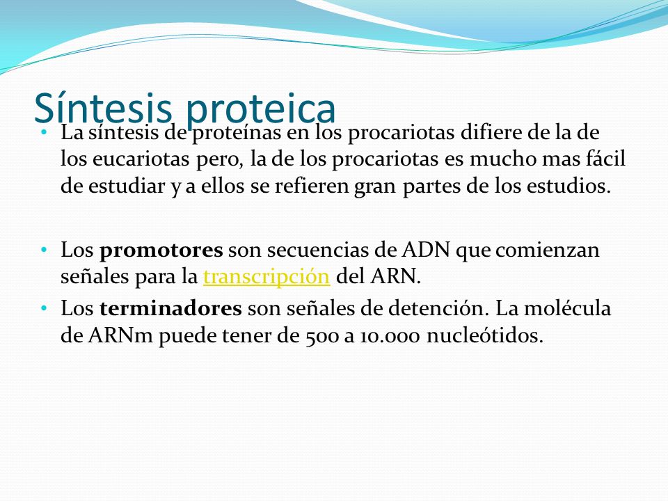 Síntesis proteica