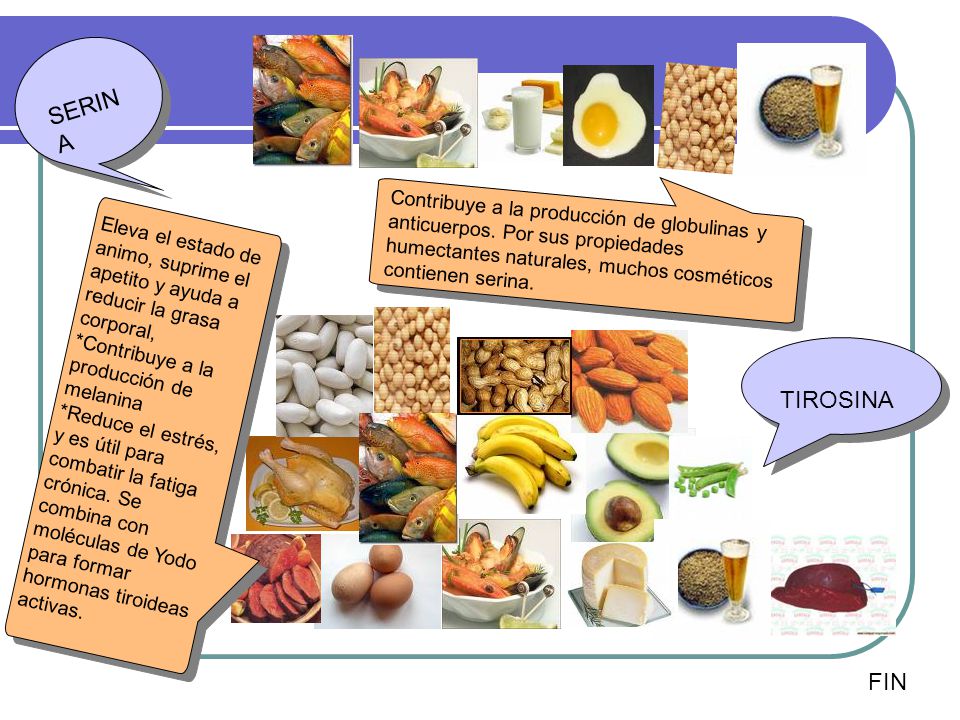 SERINA Contribuye a la producción de globulinas y anticuerpos. Por sus propiedades humectantes naturales, muchos cosméticos contienen serina.