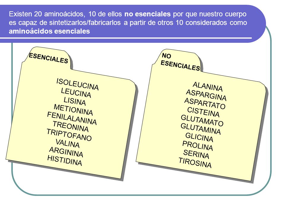 Existen 20 aminoácidos, 10 de ellos no esenciales por que nuestro cuerpo es capaz de sintetizarlos/fabricarlos a partir de otros 10 considerados como aminoácidos esenciales