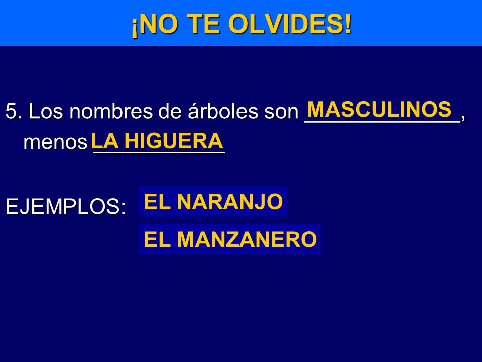 ¡NO TE OLVIDES! 5. Los nombres de árboles son _____________, menos ___________. EJEMPLOS: MASCULINOS.