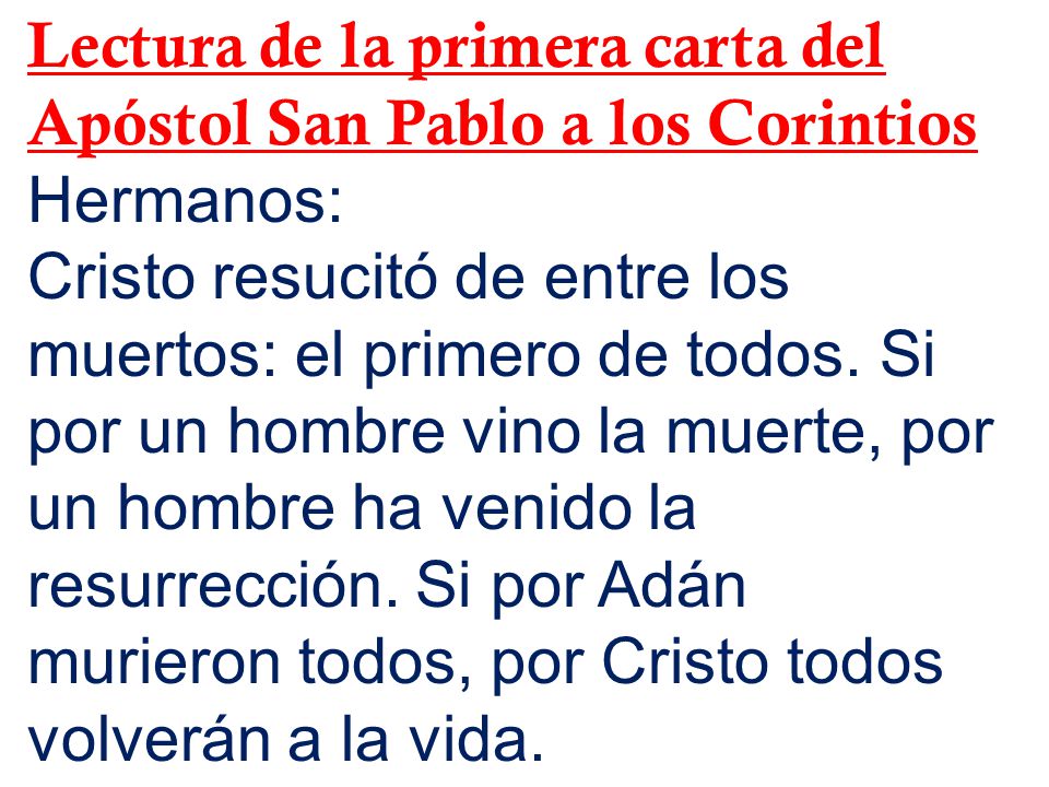 Lectura de la primera carta del Apóstol San Pablo a los Corintios