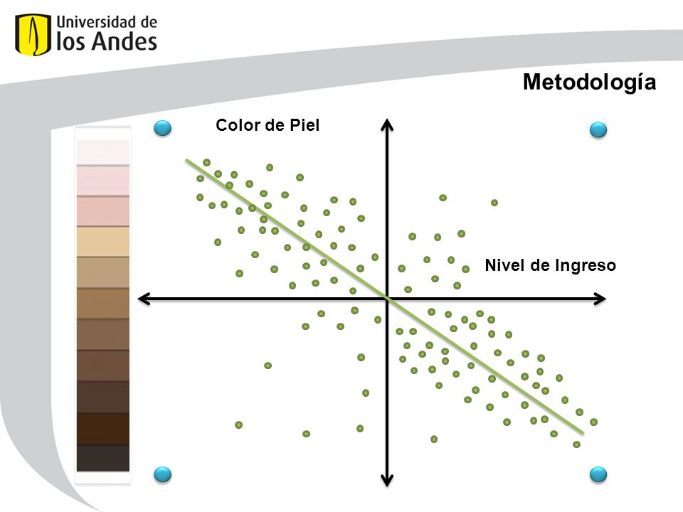 Metodología Nivel de Ingreso Color de Piel