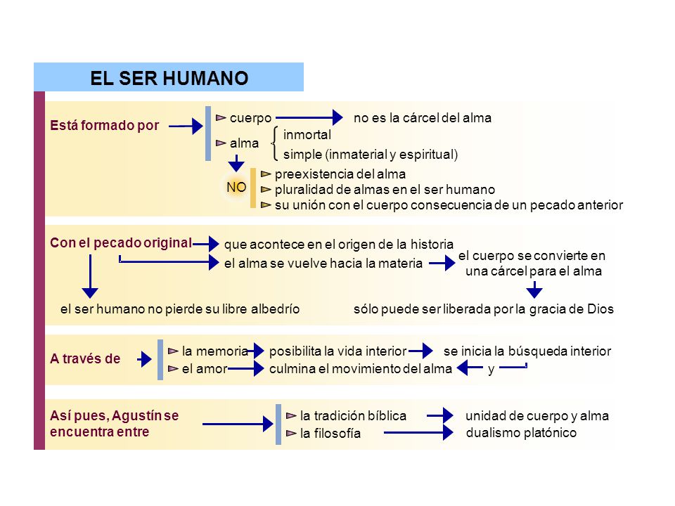 EL SER HUMANO cuerpo no es la cárcel del alma Está formado por