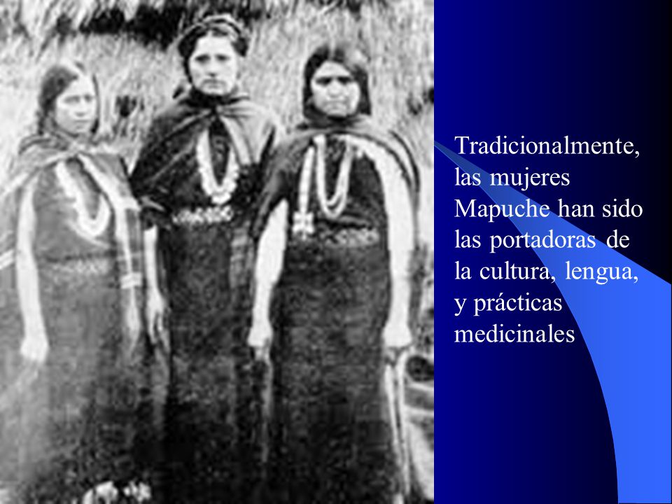 Tradicionalmente, las mujeres Mapuche han sido las portadoras de la cultura, lengua, y prácticas medicinales