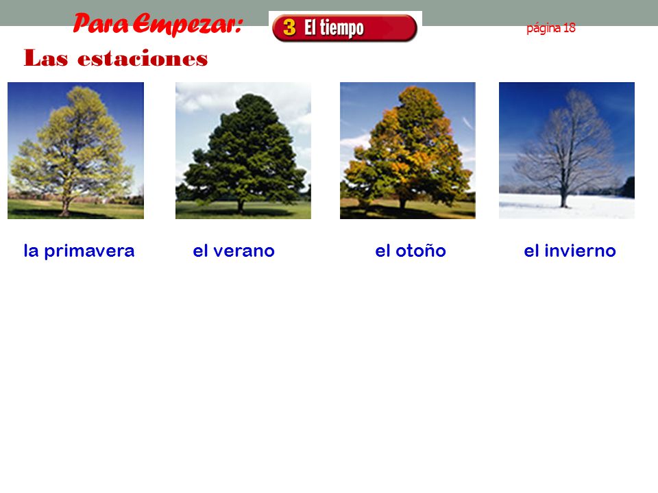 Para Empezar: página 18 Las estaciones