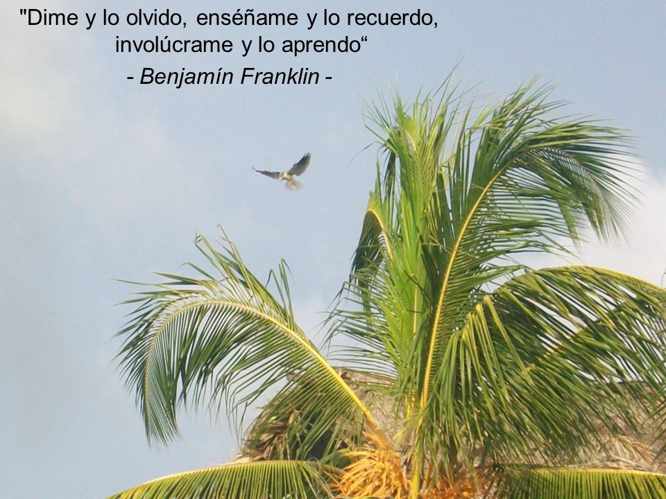 Dime y lo olvido, enséñame y lo recuerdo, involúcrame y lo aprendo