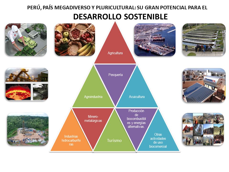 PERÚ, PAÍS MEGADIVERSO Y PLURICULTURAL: SU GRAN POTENCIAL PARA EL DESARROLLO SOSTENIBLE