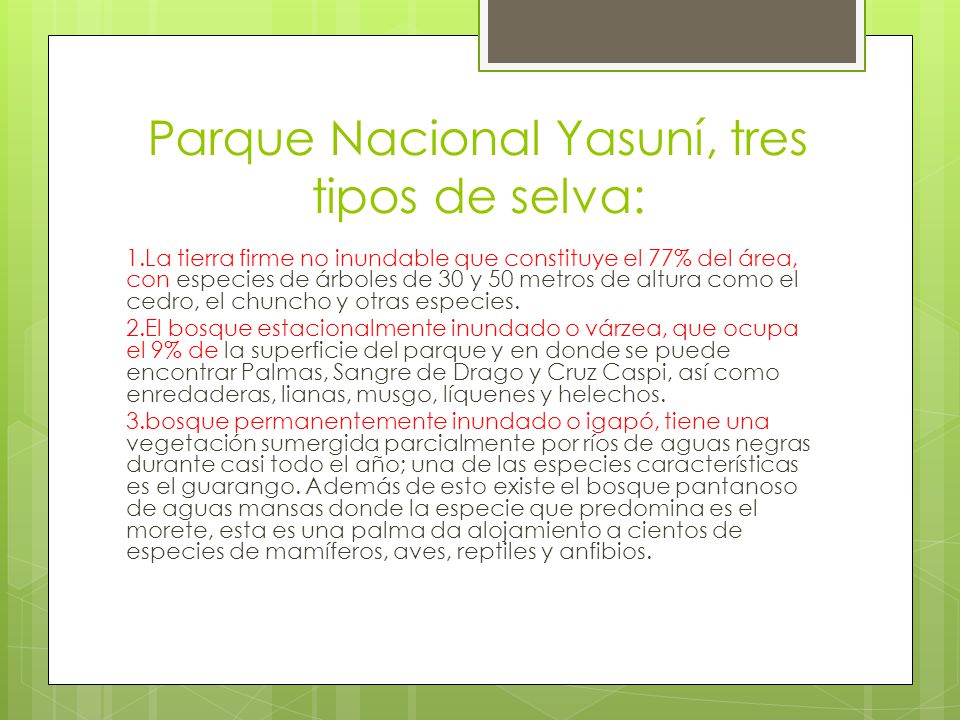 Parque Nacional Yasuní, tres tipos de selva: