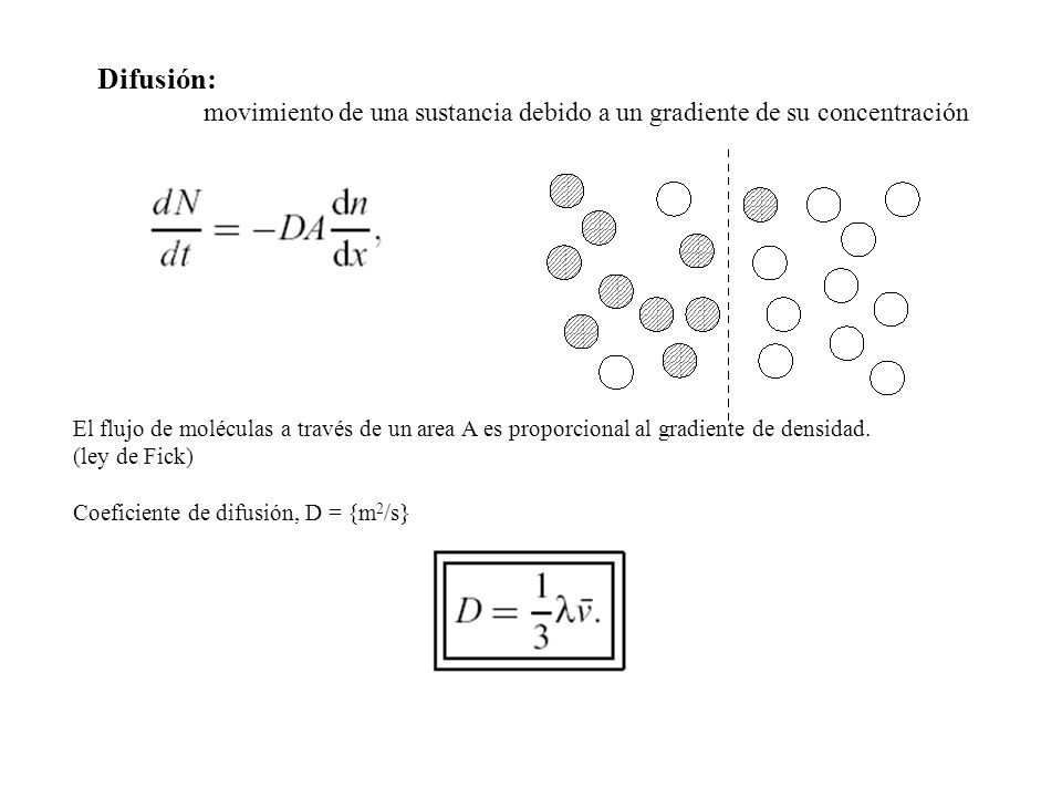 Difusión: movimiento de una sustancia debido a un gradiente de su concentración.