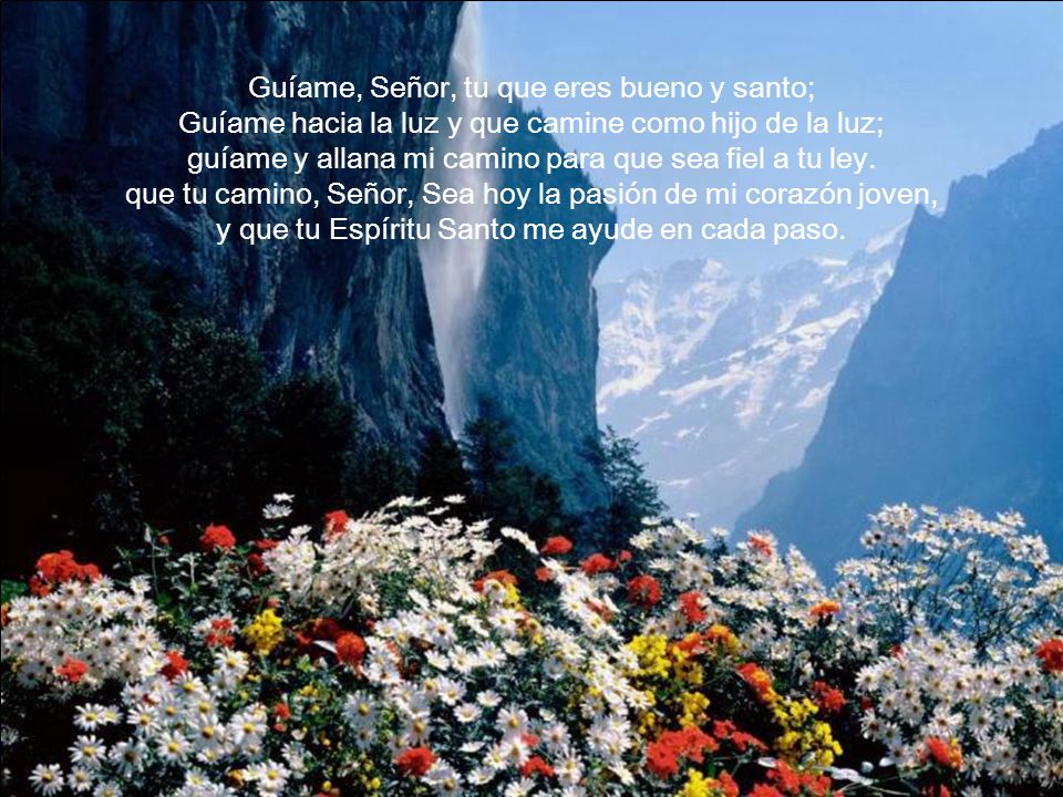 Guíame, Señor, tu que eres bueno y santo; Guíame hacia la luz y que camine como hijo de la luz; guíame y allana mi camino para que sea fiel a tu ley.