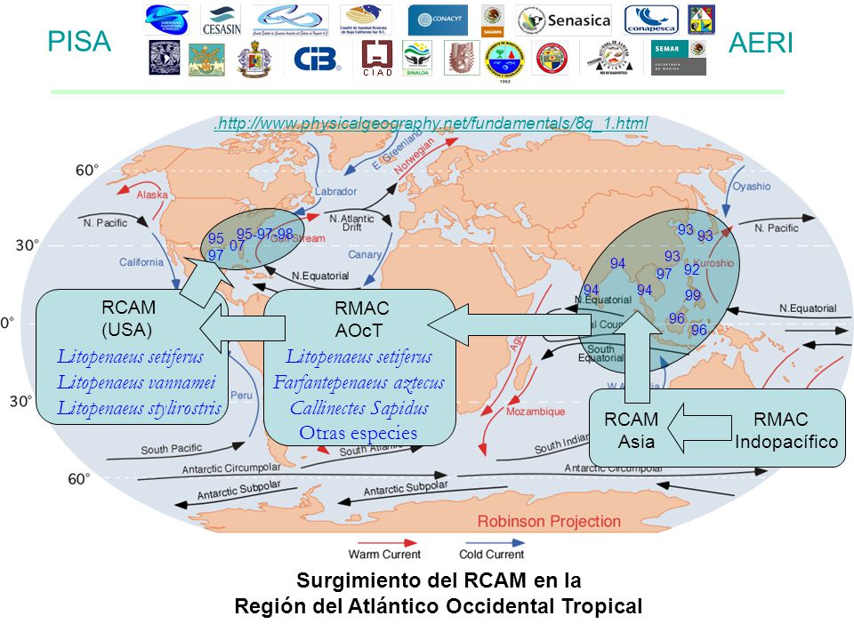 Surgimiento del RCAM en la Región del Atlántico Occidental Tropical
