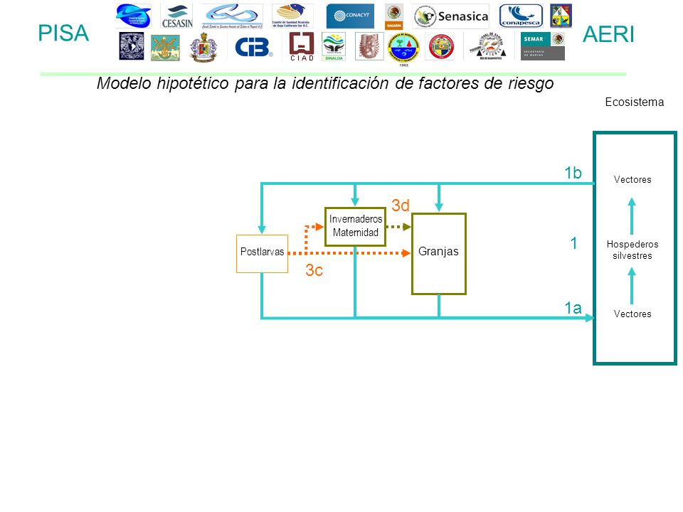 PISA AERI. Modelo hipotético para la identificación de factores de riesgo. Ecosistema. 1b. Vectores.